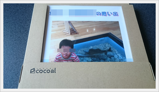 cocoal(ココアル）